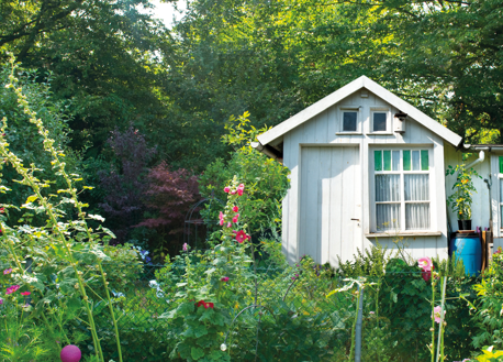 Alles rund ums Gärtnern